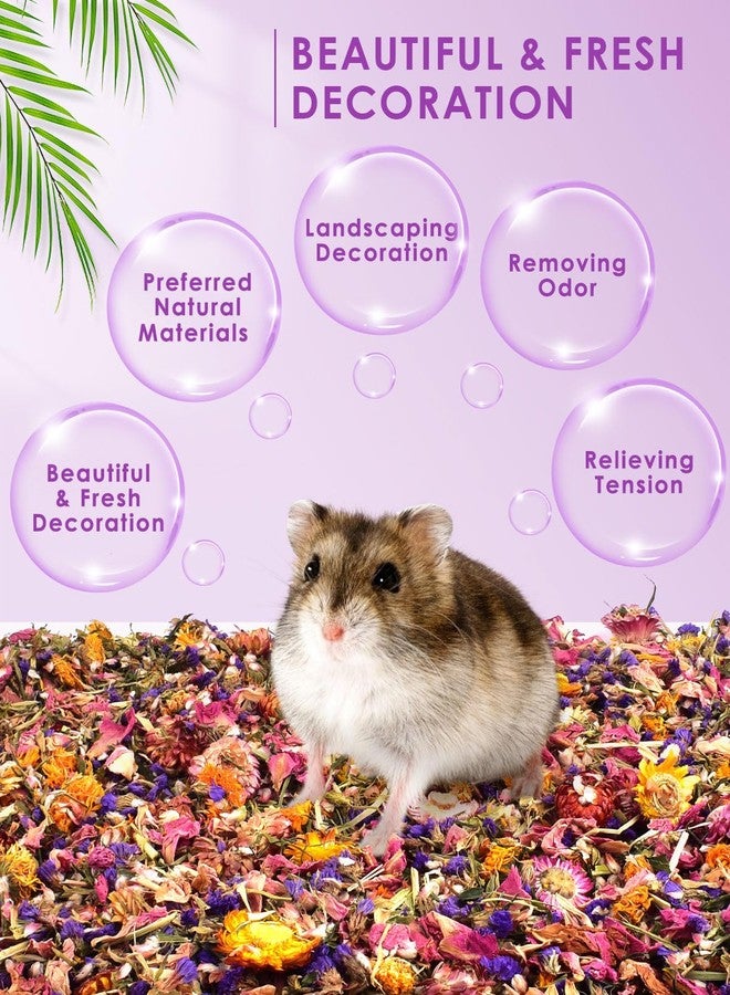 Bissap Natural Flower & Herb Hamster Bedding 300g/10.5oz, Small Animal Flower Habitat Decor for Syrian Dwarf Hamster Gerbil Chinchilla Mice Degu and Other Small Pet Flower Bedding Odor Control Forage - Image 3